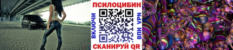 Купить где  Чистополь  Псилоцибиновые грибы Psilocybe 